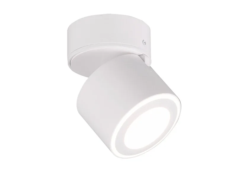 LED Deckenstrahler, LED fest integriert, Warmweiß, Spot für Decke aus Metall, Aufputz oder Einbau-Strahler innen, Ø 9cm de Trio en Blanc – photo produit