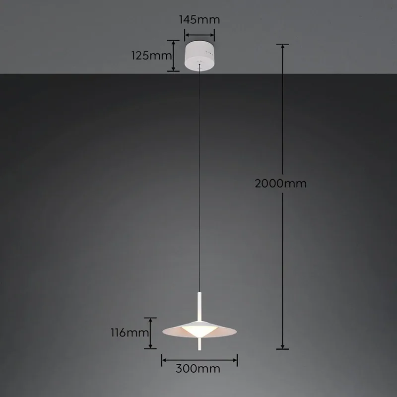 LED hanglamp Amalo, matwit, Ø 30 cm, metaal, CCT by Trio in Mat wit – product photo