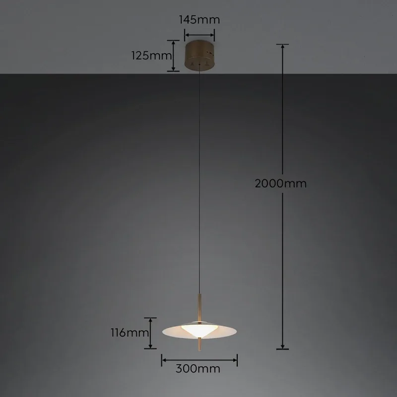 LED hanglamp Amalo, platinakleurig, Ø 30 cm, metaal, CCT de Trio en Platina – photo produit