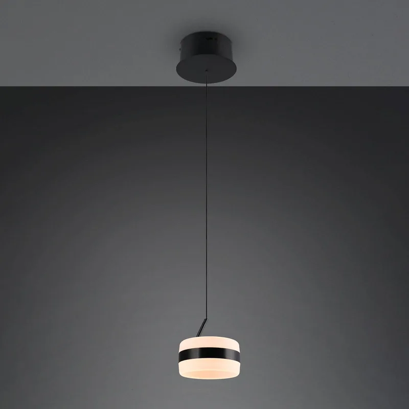 LED hanglamp Dios, Ø 15 cm, metaal, CCT von Trio in Schwarz – Produktfoto