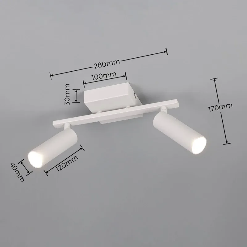 Plafondspot Dara, lengte 28 cm, metaal, 2-lamps. fra Trio i Grå – produktbillede