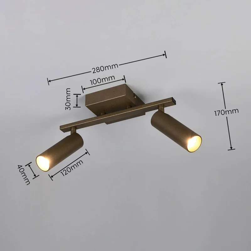 Plafondspot Dara, lengte 28 cm, platinakleurig, metaal, 2-lamps. van Trio in Platina – productfoto