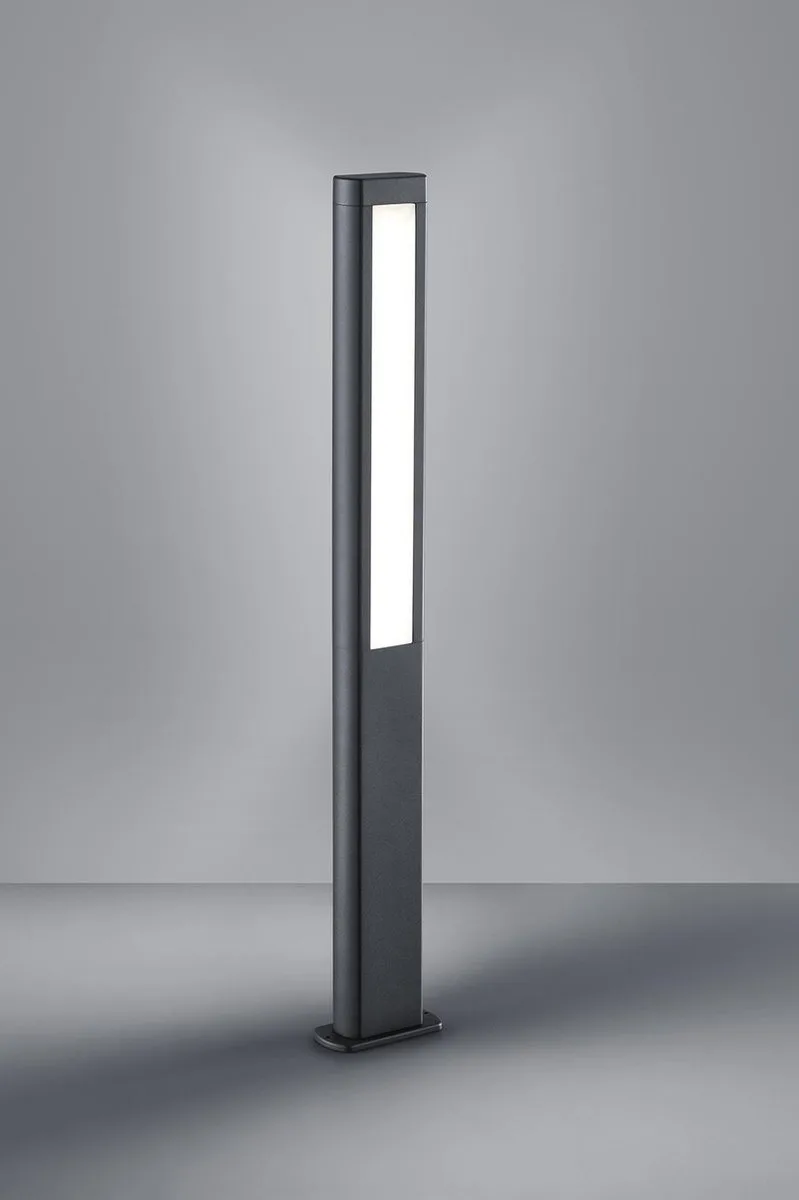 RHINE - Paalverlichting - incl. 2x SMD 5,5W - Buitenverlichting - IP54 by Trio in Anthracite – product photo