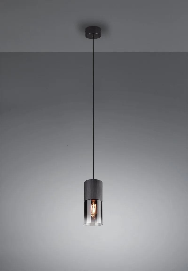 ROBIN Hanglamp - excl. 1x E27 28W - IP20 van Trio in Zwart – productfoto