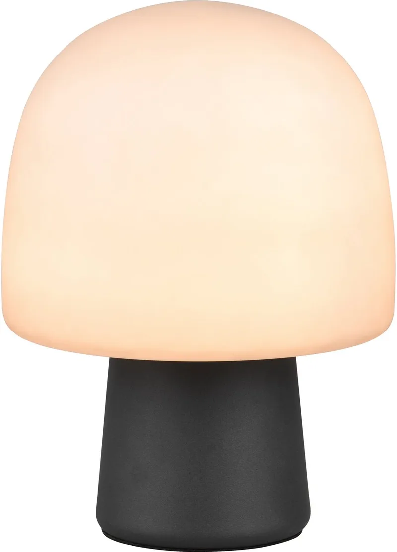 Tafellamp STEEN - 20x20x27 cm by Trio in Black – product photo