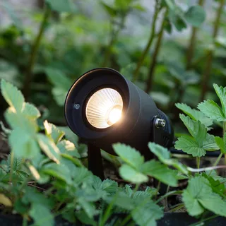 Garden 24 LED-spot, 6 watt från Markslöjd i Svart – produktbild 1 av 5
