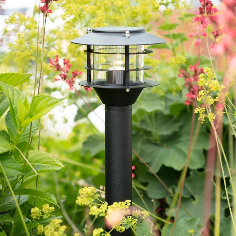 Tuin 24 LED tuinpadverlichting Stok, hoogte 45 cm, 3 W van Markslöjd in Zwart, Helder – productfoto 1 van 2