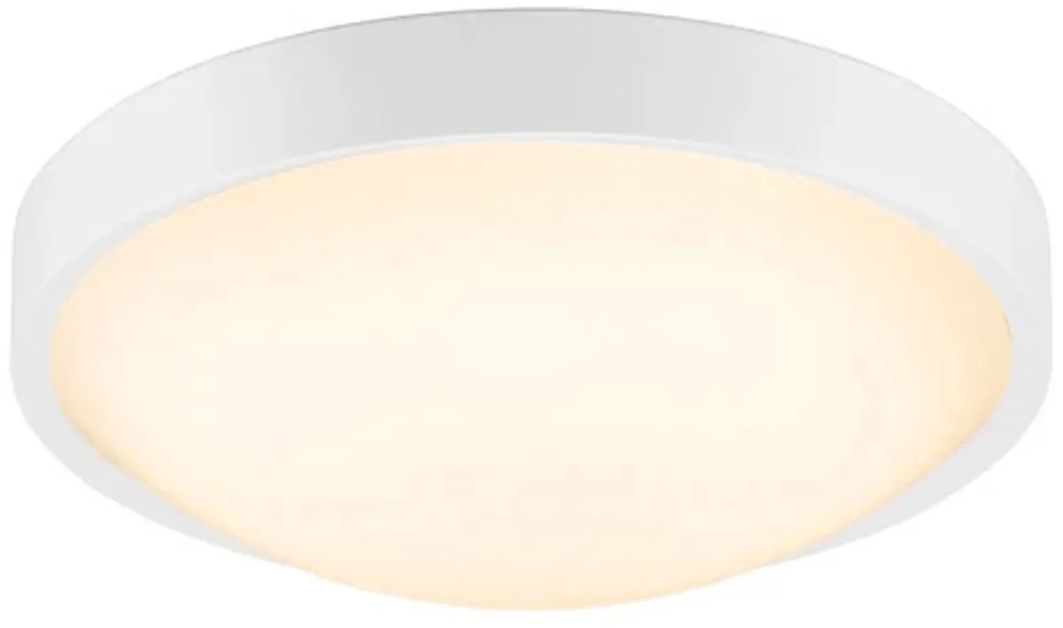 Doos 3x Nordlux Altus LED Plafondlamp | 13W 2700K 850lm 827 von Nordlux in Weiß – Produktfoto