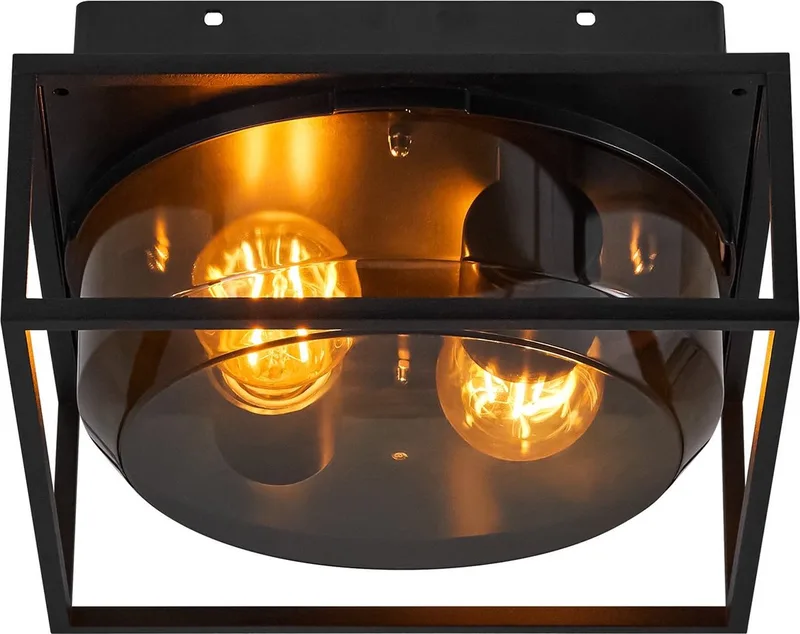 Griffin Applique Plafonnier d'Extérieur Smoke de Nordlux en Smokey Glas – photo produit