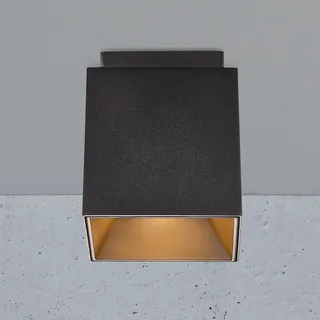 Plafondspot Ethan, 1-lamp, zwart fra Nordlux i Mat zwart, Messing – produktbillede 1 af 5